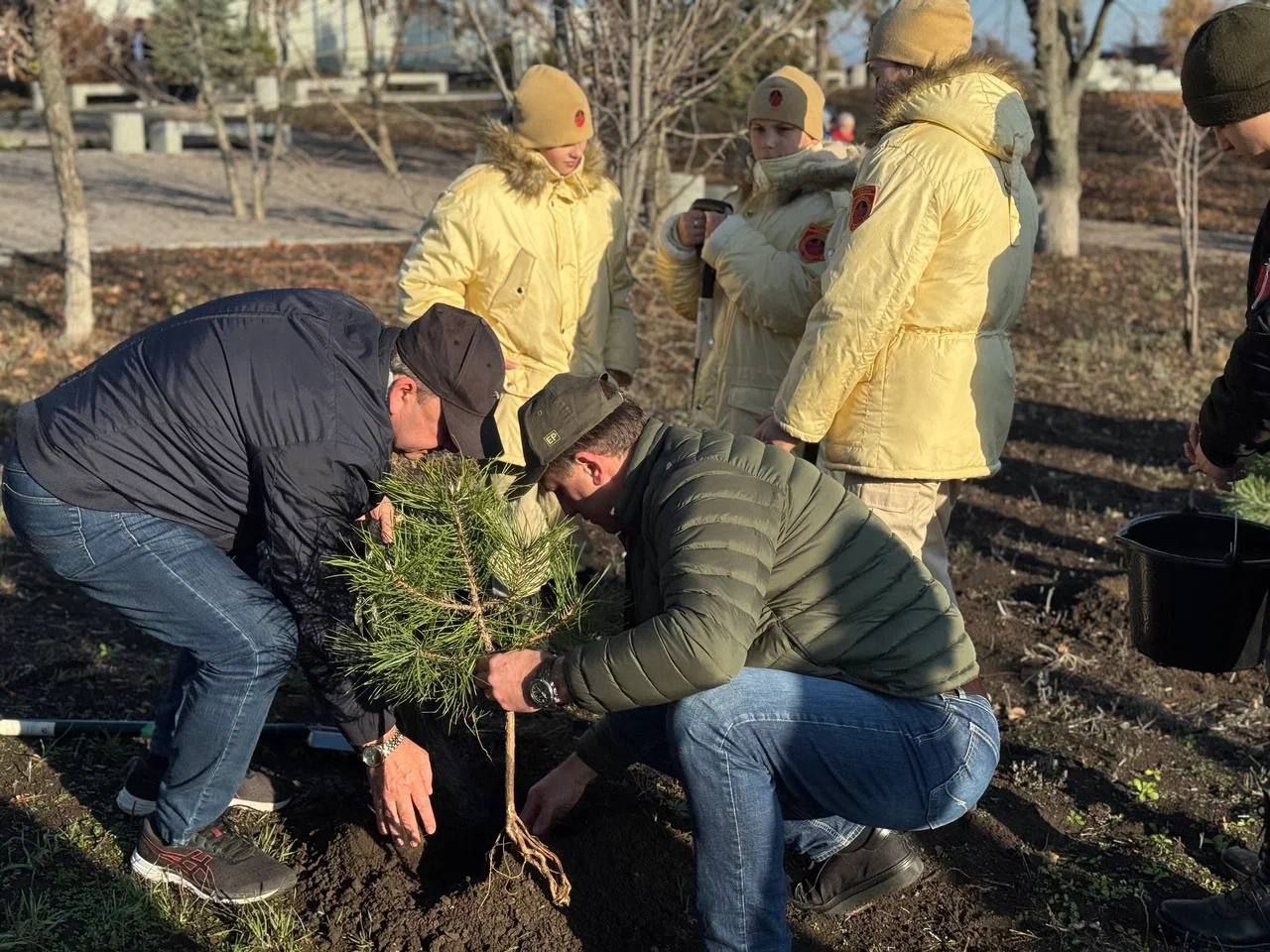 Александр Шатов: Представители Шахтерского округа и Усть-Донецкого района высадили деревья на Саур-Могиле Александр Шатов: Представители Шахтерского округа и Усть-Донецкого района высадили деревья на Саур-Могиле