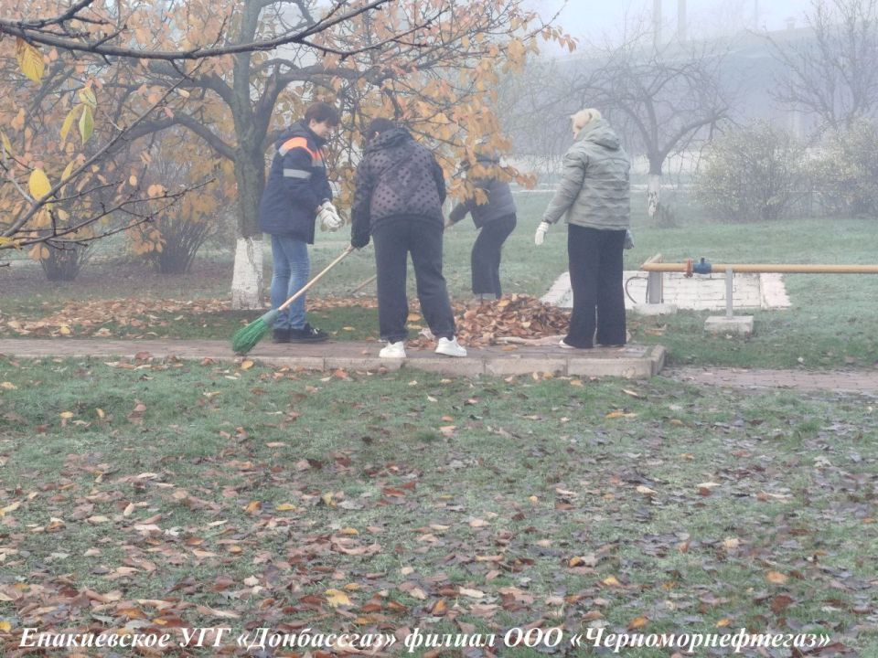 ����� ��������: ����������� ���������� � ����������� ����������� ������� ��� ����������������� �� ������������� ����������