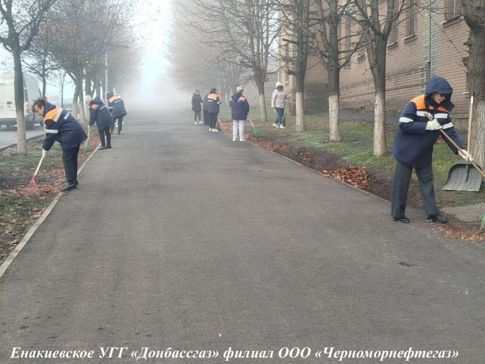 ����� ��������: ����������� ���������� � ����������� ����������� ������� ��� ����������������� �� ������������� ����������