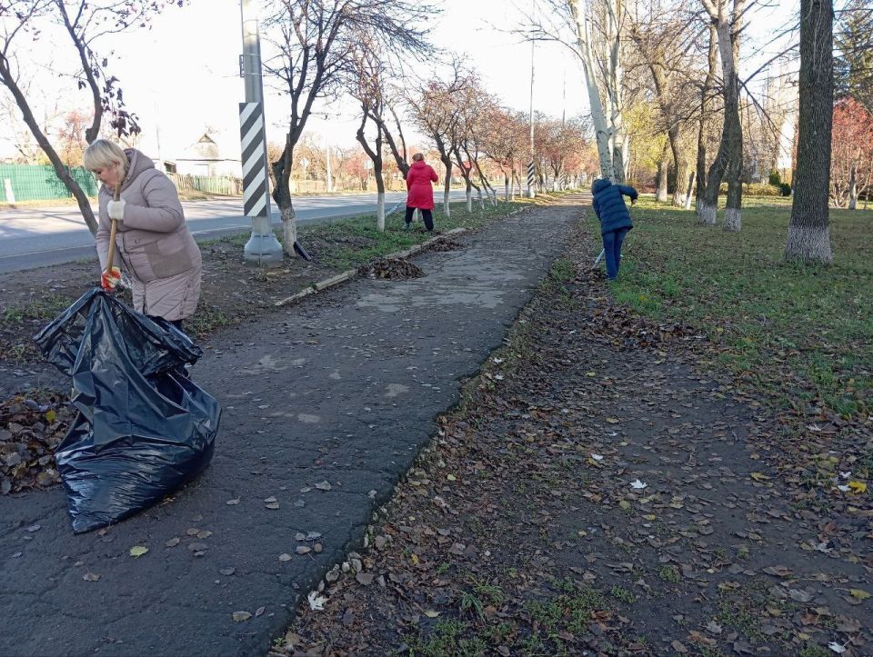 ���������� ���������� �� ����������� ������������ ���������� ������������� ���������� ������ �������� ������� ������� � ������������� ����������