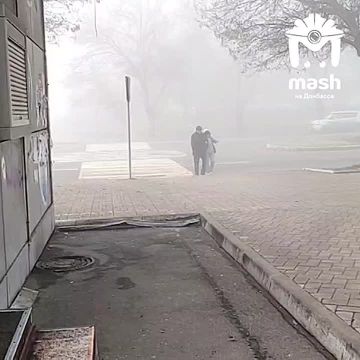 Девочки, кто потерял своего ёжика коня в тумане? Растерянный и одинокий бродит по Донецку в районе бульвара Пушкина