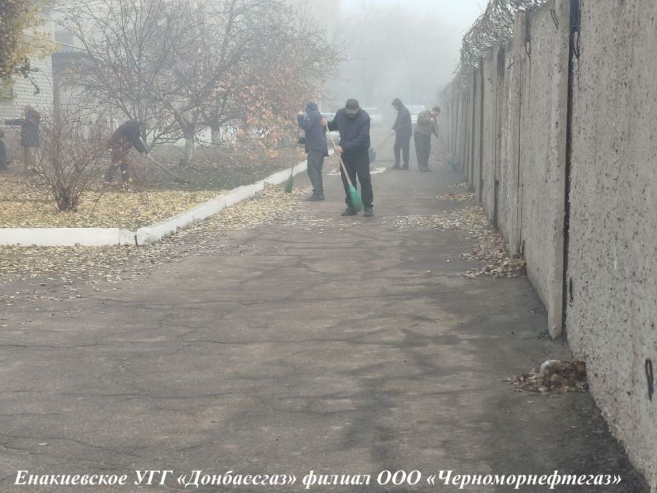 ����� ��������: ����������� ���������� � ����������� ����������� ������� ��� ����������������� �� ������������� ����������