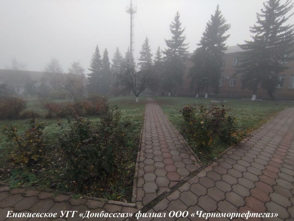 ����� ��������: ����������� ���������� � ����������� ����������� ������� ��� ����������������� �� ������������� ����������