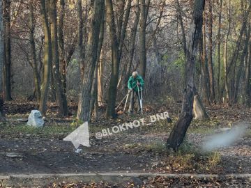 Донецкие будни. Бабушка на костылях убирает листву