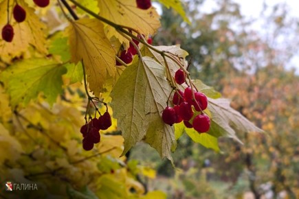 Счастливого выходного дня!
