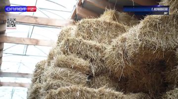 III Всероссийская премия «Служение»