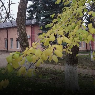 Игорь Лызов: Губернатор Амурской области Василий Орлов осмотрел отремонтированный реабилитационный центр г. Амвросиевка