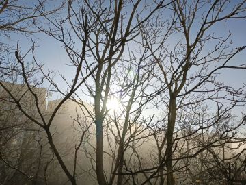 16 ноября в республике переменная облачность, без существенных осадков