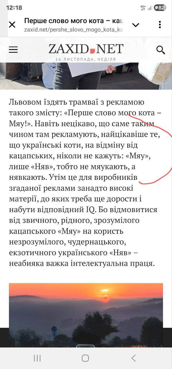 Во Львове разгорелся скандал из-за русскоговорящих кошек Во Львове разгорелся скандал из-за русскоговорящих кошек