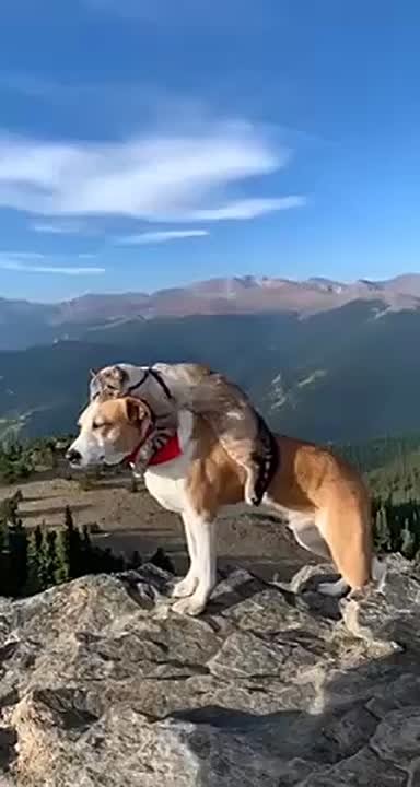 Когда взял от жизни все, и она удалась