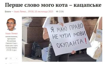 Во Львове разгорелся скандал из-за русскоговорящих кошек