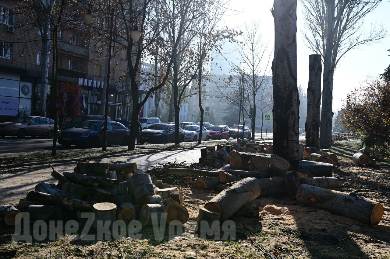 Стало светлее и безопаснее: на бульваре Пушкина в Донецке кронировали старые деревья Стало светлее и безопаснее: на бульваре Пушкина в Донецке кронировали старые деревья