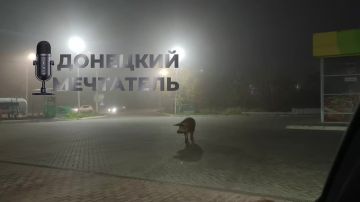 На смену ёжикам в тумане приходят новые персонажи: вот такое хрючево бродит по Макеевке