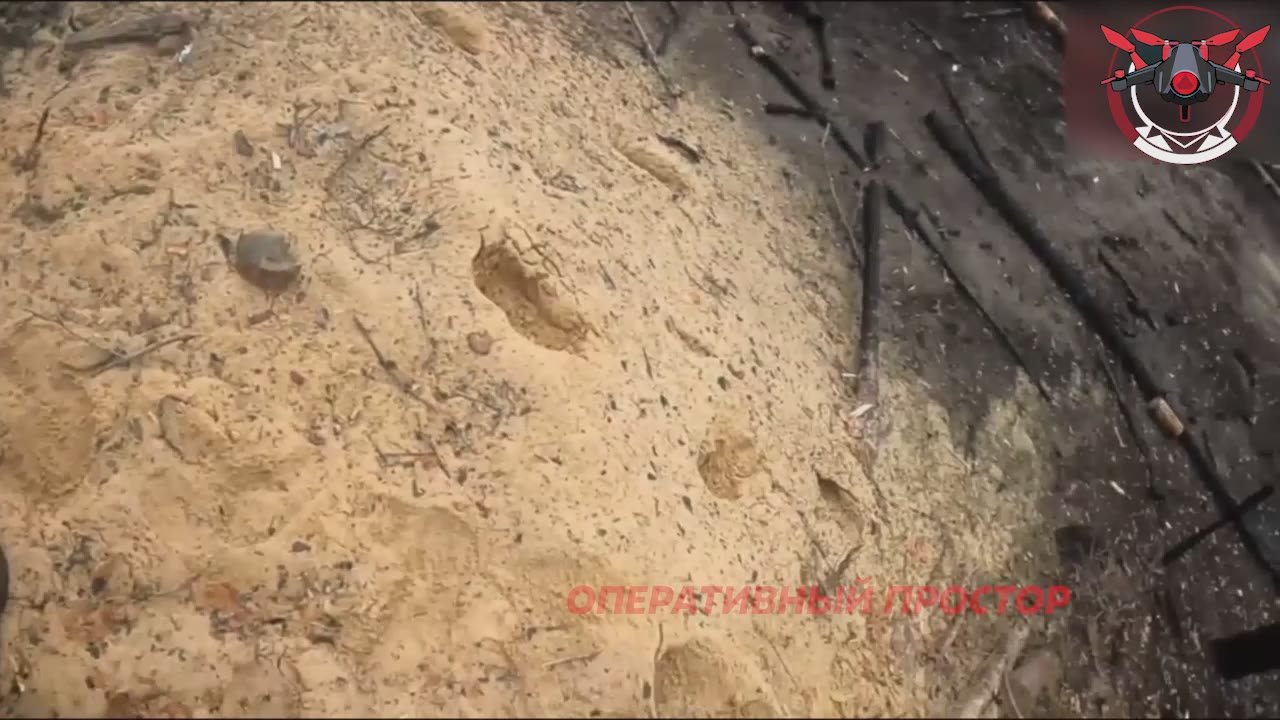 Работает спецназ: #16_обрСпН штурмует опорник ВСУ