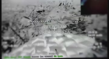 Наломали дров противнику на Северском направлении