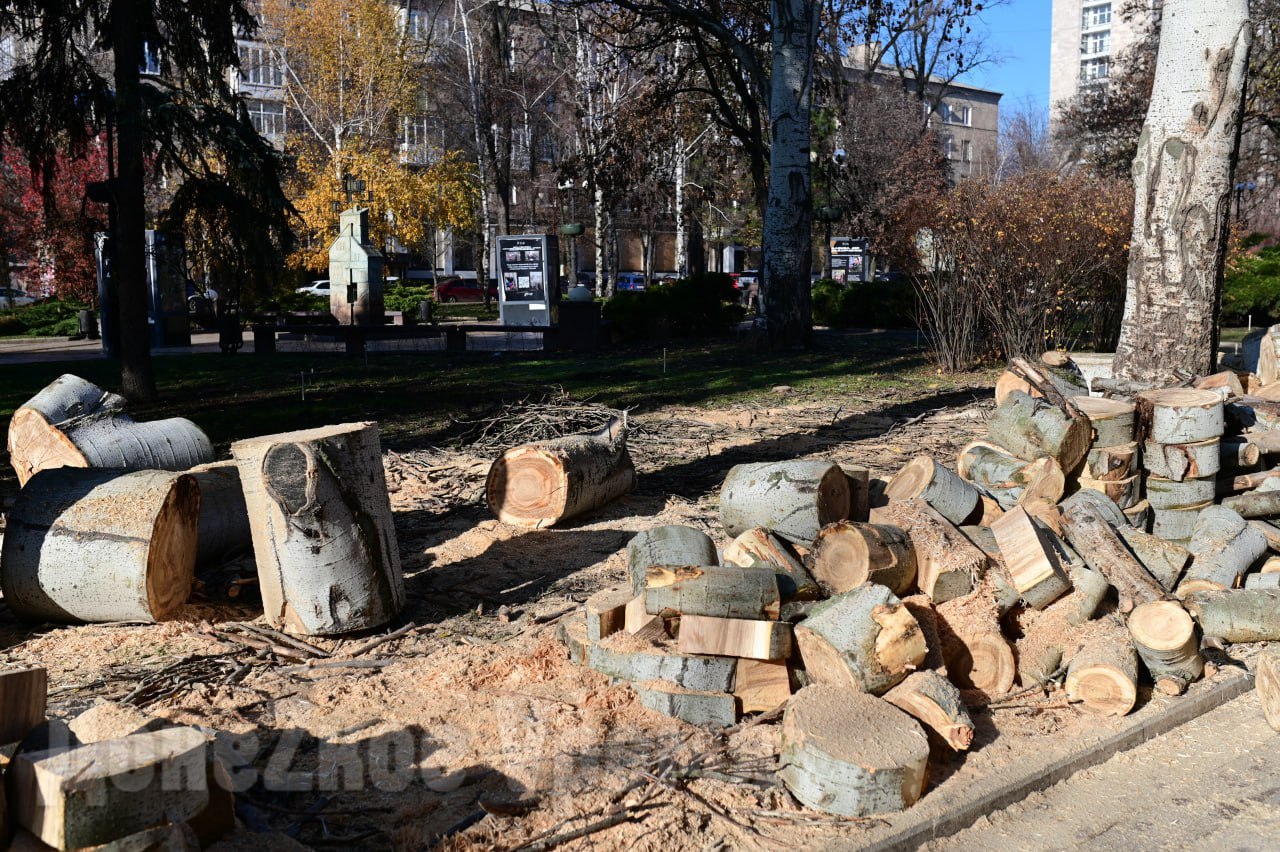 Стало светлее и безопаснее: на бульваре Пушкина в Донецке кронировали старые деревья Стало светлее и безопаснее: на бульваре Пушкина в Донецке кронировали старые деревья