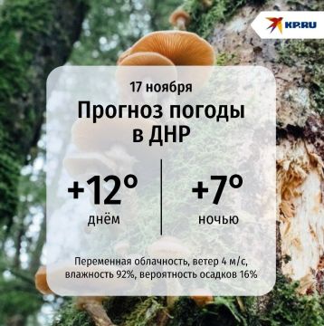 В ДНР сегодня температура воздуха днём поднимется до +12 градусов, а ночью опустится до +7°