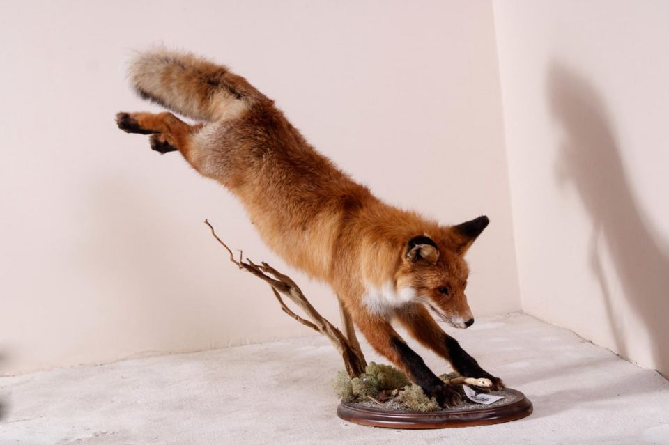 ����� �������������� ����� ����������� ������������� ����������