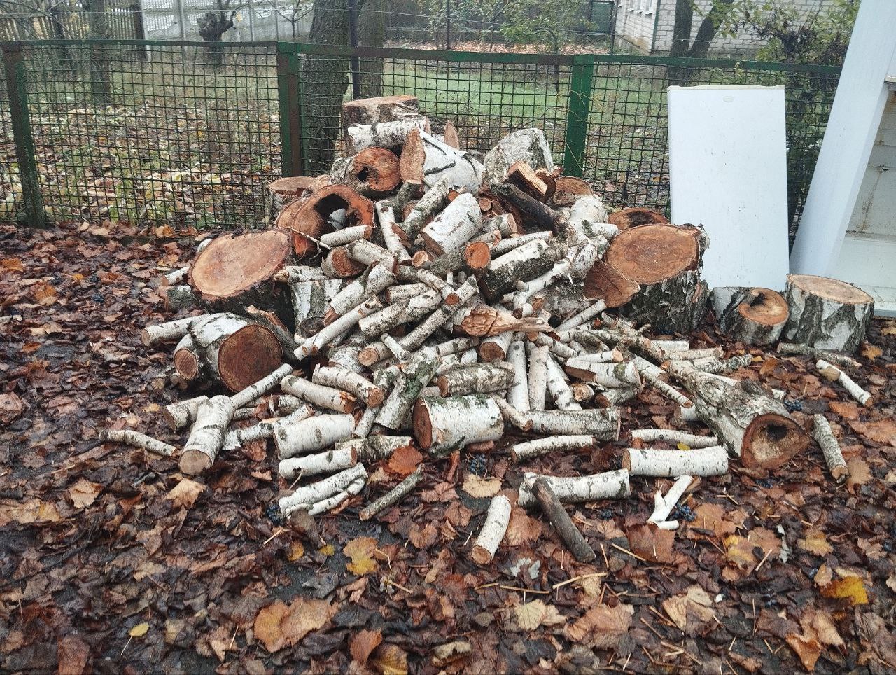 Наталья Великодная: Помощь жителям в действии. В Общественную приемную партии "Единая Россия" Тельмановского МО поступило обращение от жительницы села Луково, которая остро нуждалась в помощи с заготовкой дров Наталья Великодная: Помощь жителям в действии. В Общественную приемную партии "Единая Россия" Тельмановского МО поступило обращение от жительницы села Луково, которая остро нуждалась в помощи с заготовкой дров