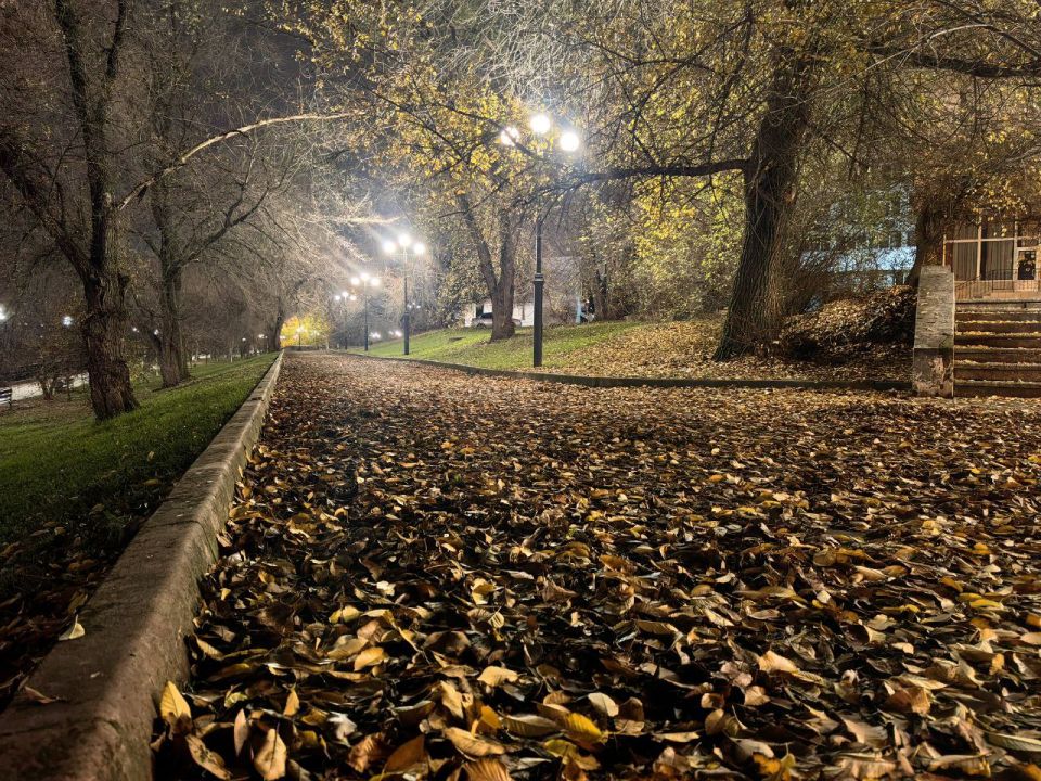 ����� �������: �������� �����. ���� �������� ������