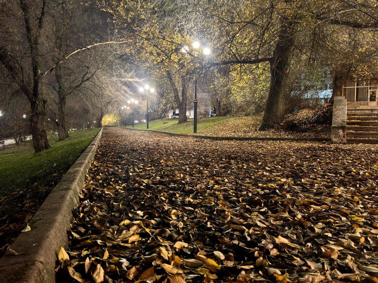 Вадим Топалов: Донецкая осень. Всем хорошего вечера