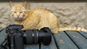 Желаем всем продуктивной рабочей недели и хорошего дня!