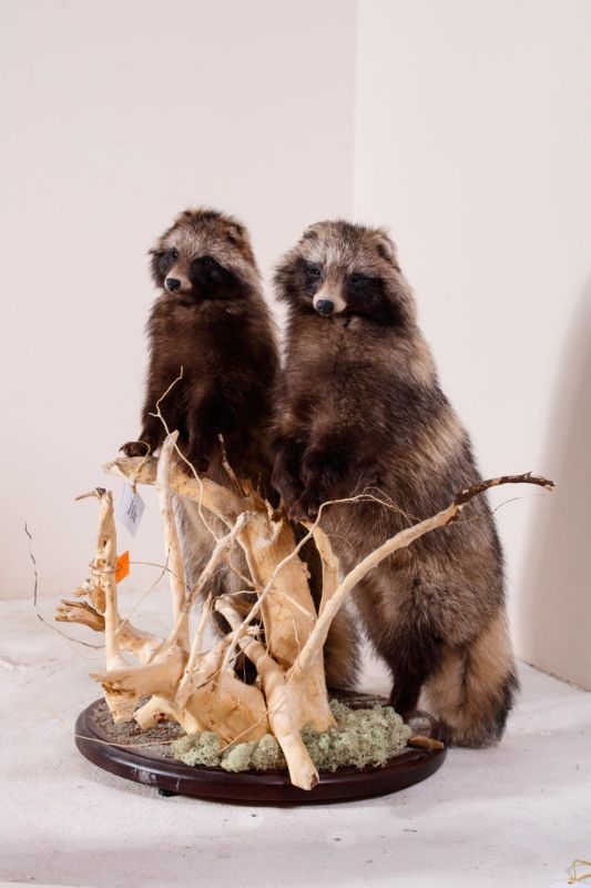 ����� �������������� ����� ����������� ������������� ����������