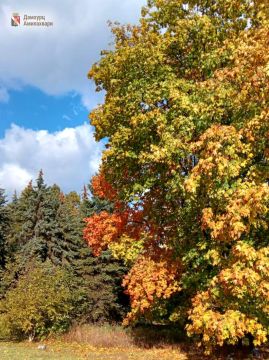 Продуктивного понедельника!