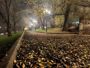 Вадим Топалов: Донецкая осень. Всем хорошего вечера