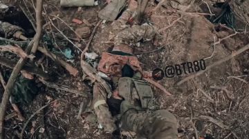 Любимая рубрика: "Попрыгал - отдохни!"