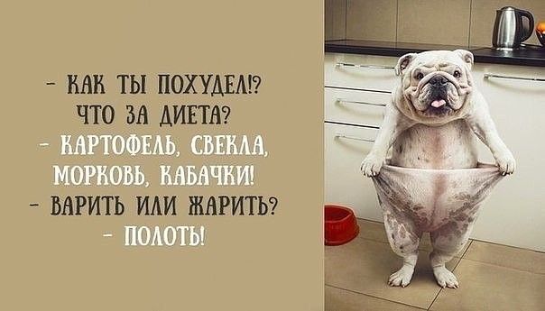 Минутка юмора. Мы в Telegram