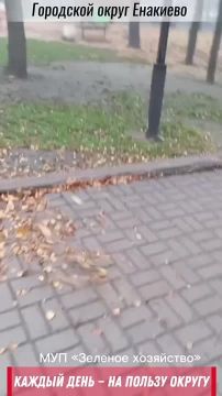 «Каждый день — на пользу округу»