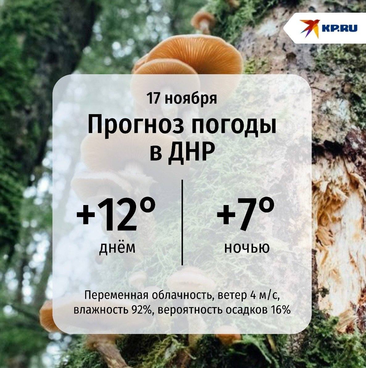 В ДНР сегодня температура воздуха днём поднимется до +12 градусов, а ночью опустится до +7°
