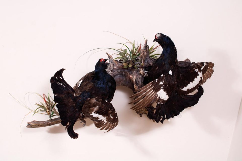 ����� �������������� ����� ����������� ������������� ����������