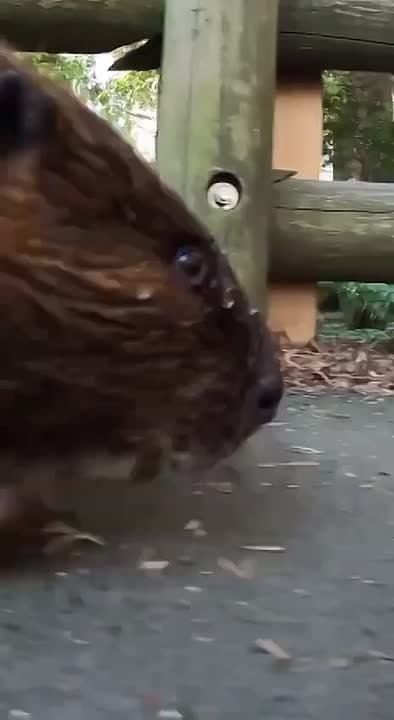 С добрым утром, Мариуполь!