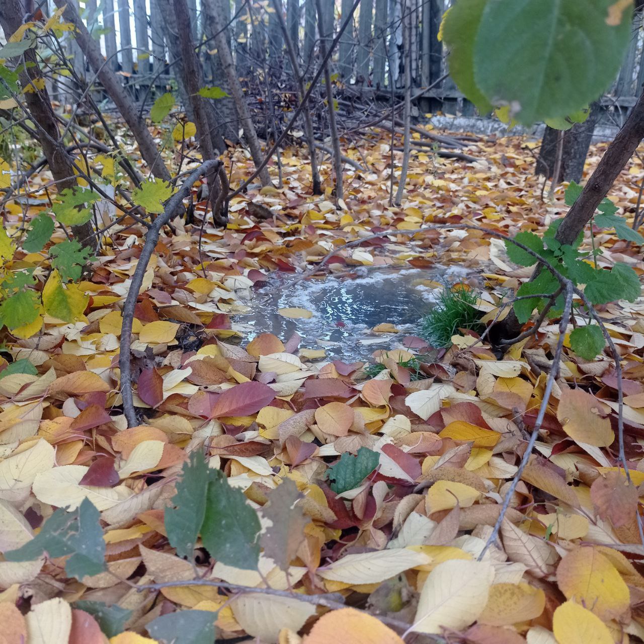 Вода и тепло в домах жителей Республики на контроле депутатов Вода и тепло в домах жителей Республики на контроле депутатов