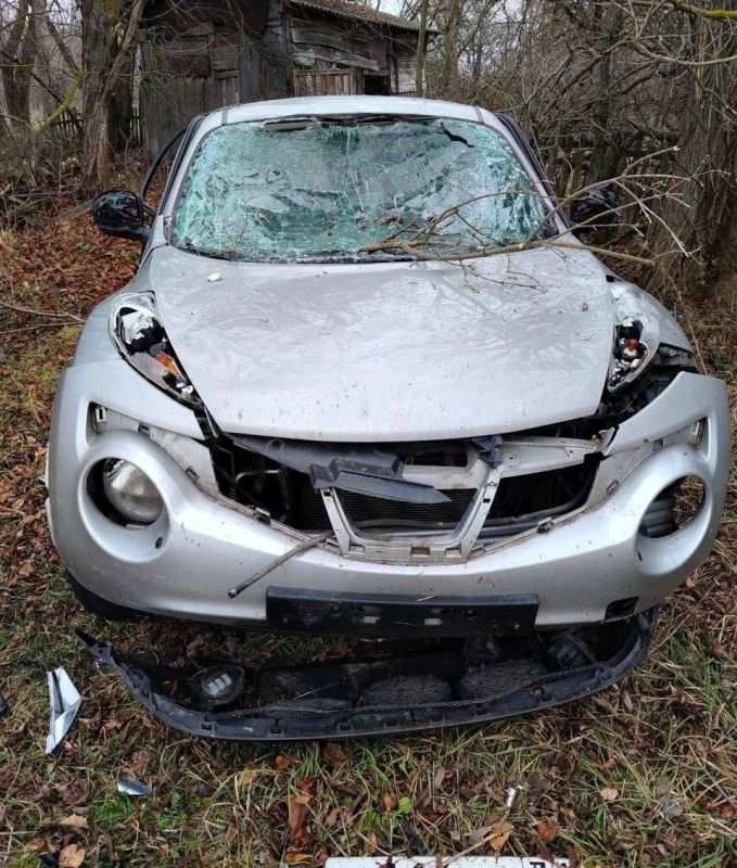 ���� �������: ��� ���������� ��������������� ������� ����������� ������������, ������ ������������� ������ �������