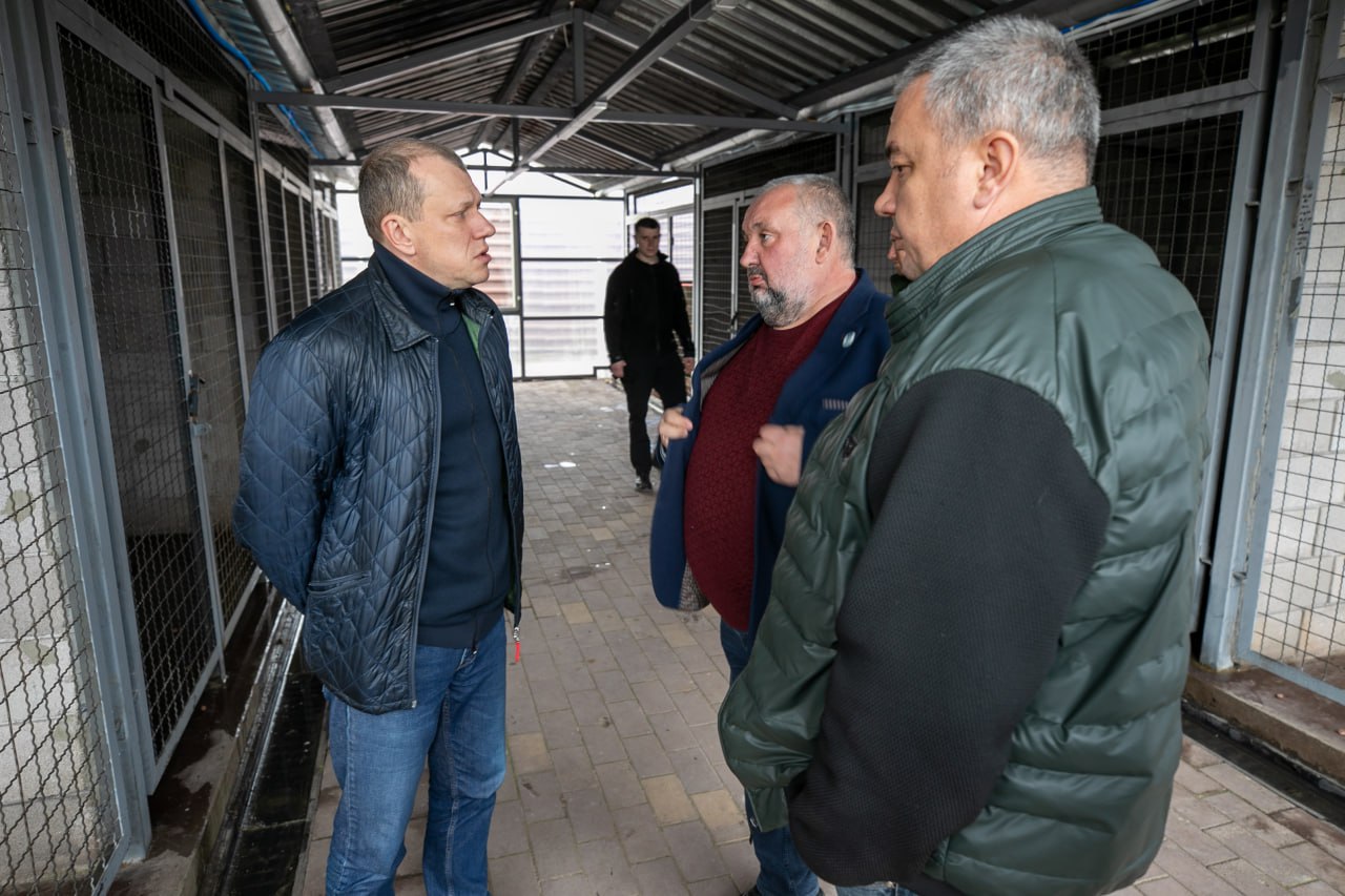 Антон Кольцов: Побывал на участке муниципального предприятия «Зеленстрой» по работе с безнадзорными животными Антон Кольцов: Побывал на участке муниципального предприятия «Зеленстрой» по работе с безнадзорными животными