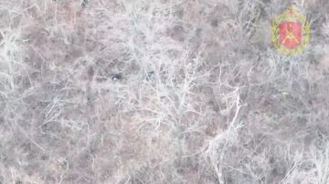 Кадры боев на южной окраине Северска