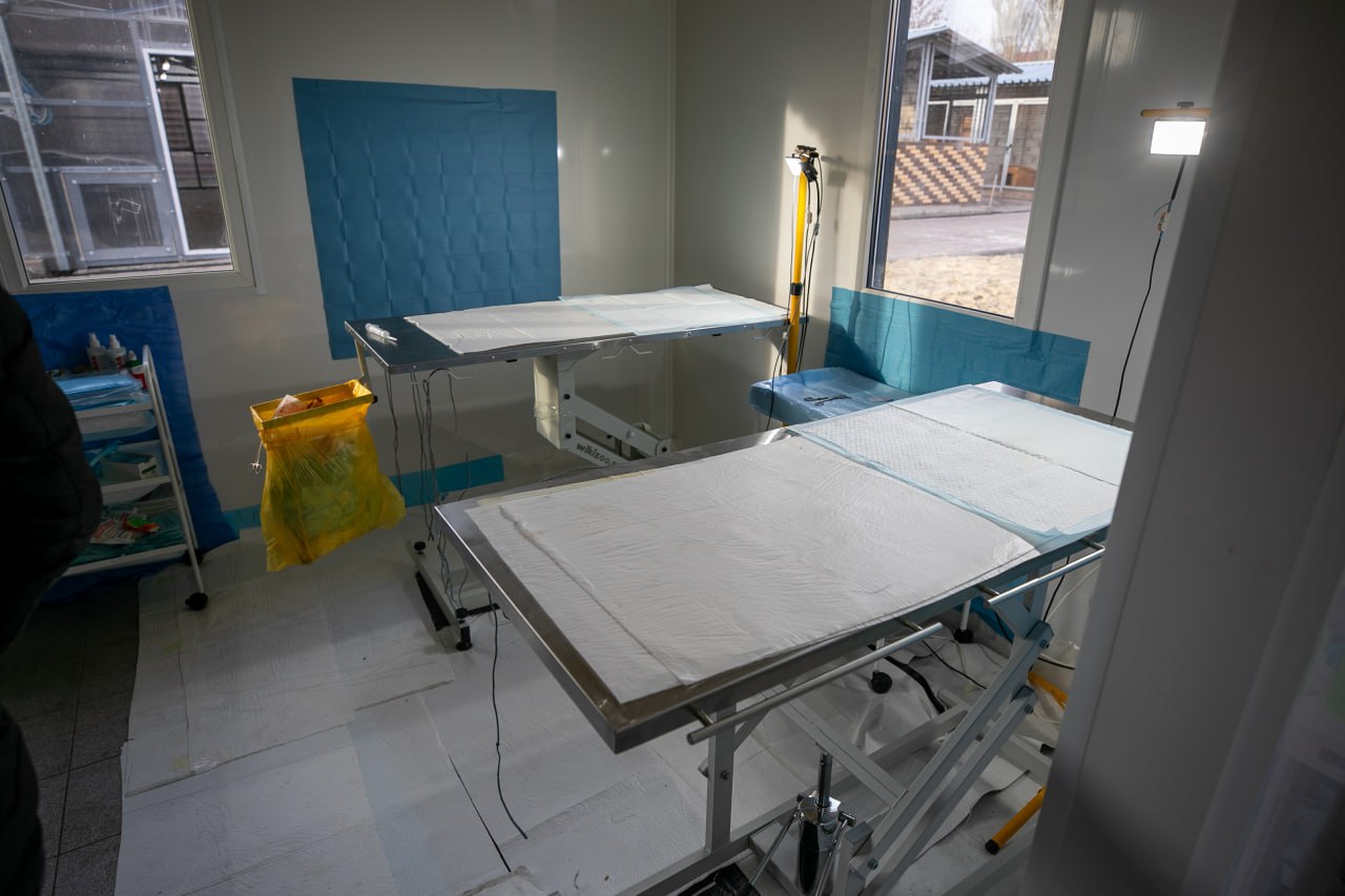 Антон Кольцов: Побывал на участке муниципального предприятия «Зеленстрой» по работе с безнадзорными животными Антон Кольцов: Побывал на участке муниципального предприятия «Зеленстрой» по работе с безнадзорными животными