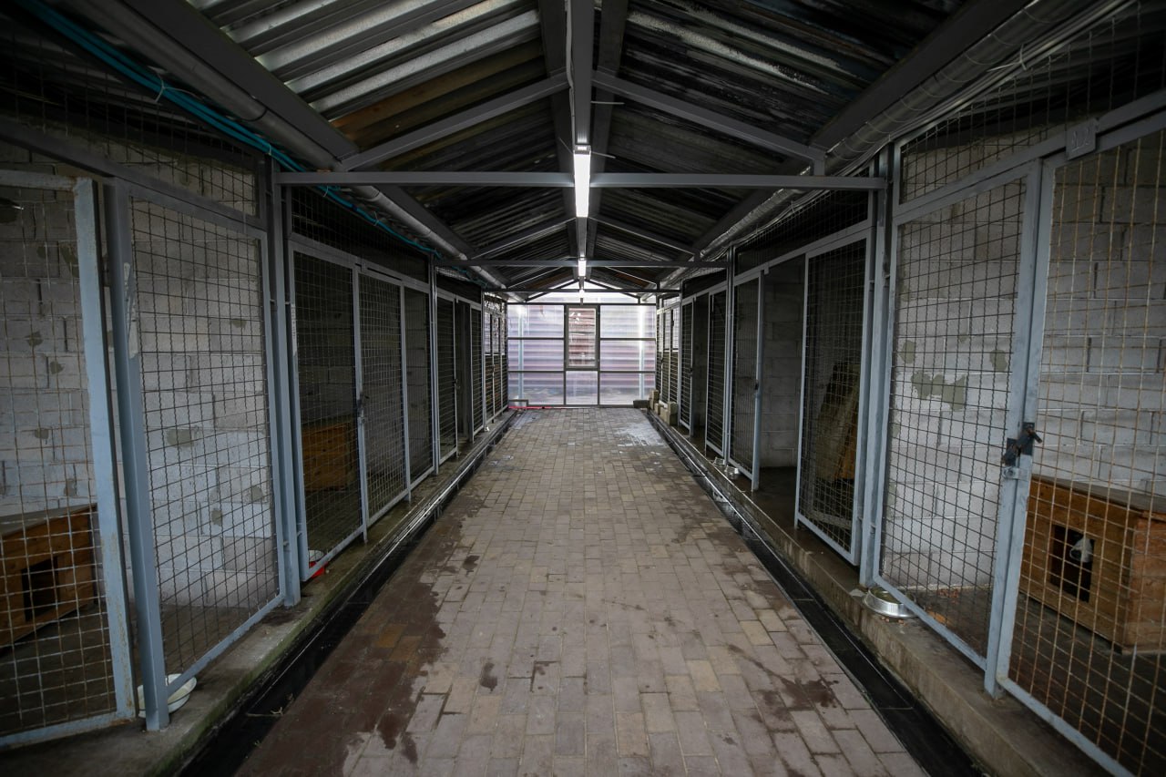 Антон Кольцов: Побывал на участке муниципального предприятия «Зеленстрой» по работе с безнадзорными животными Антон Кольцов: Побывал на участке муниципального предприятия «Зеленстрой» по работе с безнадзорными животными