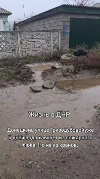 Грязевые реки: дончане жалуются на пятидневный потоп