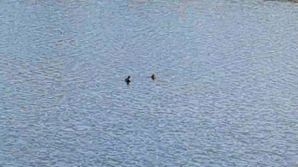 ������ �������: ��������, ������ � ����