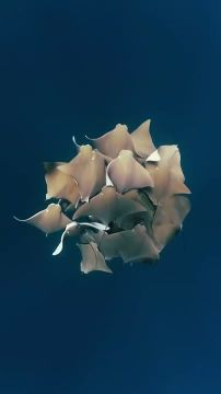 Спокойной ночи, Мариуполь!