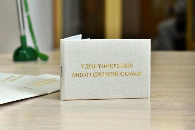 Отделение социальной защиты населения № 28 - филиал ГБУ ДНР "РЦСЗН" осуществляет приём документов на выдачу Удостоверения многодетной семьи