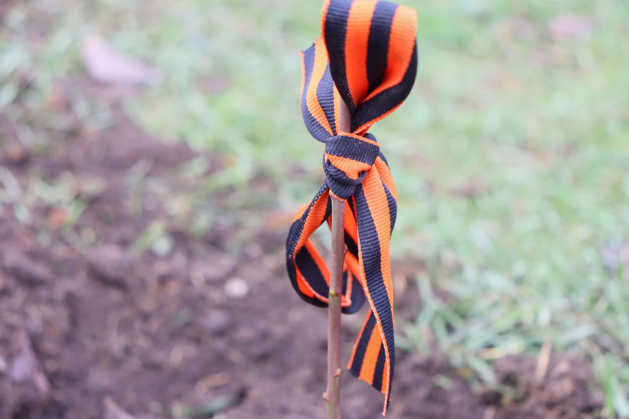 В Донецком лицее появился свой Сад Памяти В Донецком лицее появился свой Сад Памяти