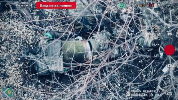 Земля на Покровском направлении отравлена трупными ядами ВСУ