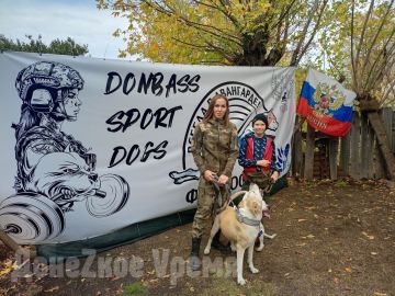 На площадке со стаффами и питбулями: юные кинологи Донецка дадут фору некоторым взрослым коллегам