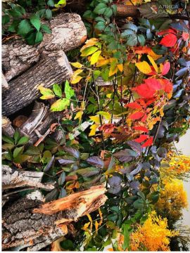 С новым днём!. #НашОкруг #ЕнакиевоВобъективе #ТалантыЕнакиево