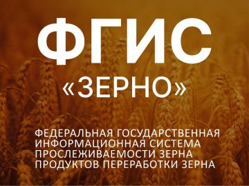ФГИС «Зерно» — федеральная государственная информационная система прослеживаемости зерна и продуктов его переработки